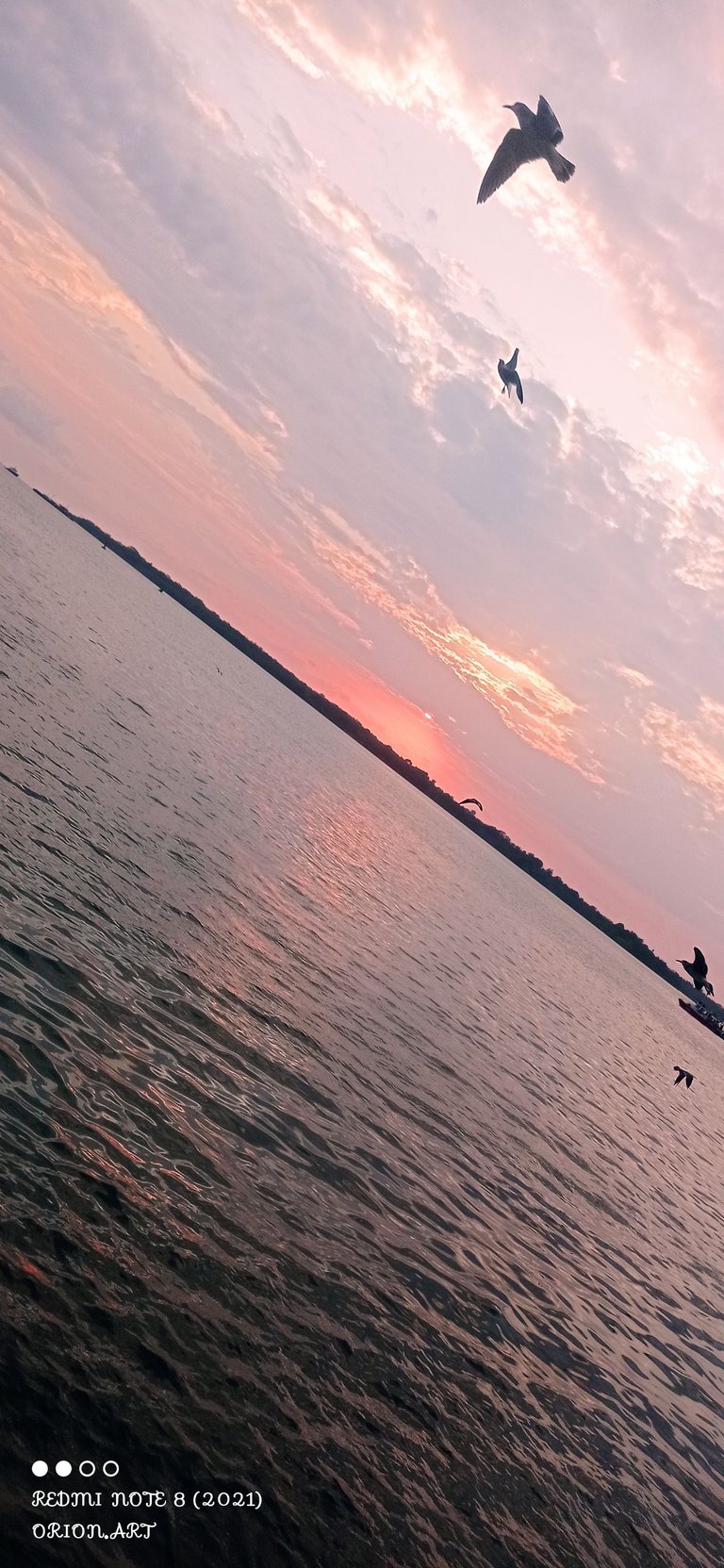 IMG_20230205_180517.jpg