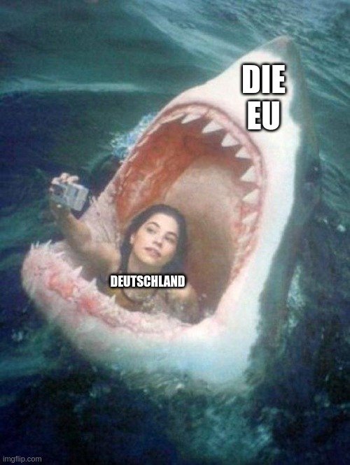 7iygi1.jpg