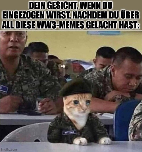 66y96z.jpg