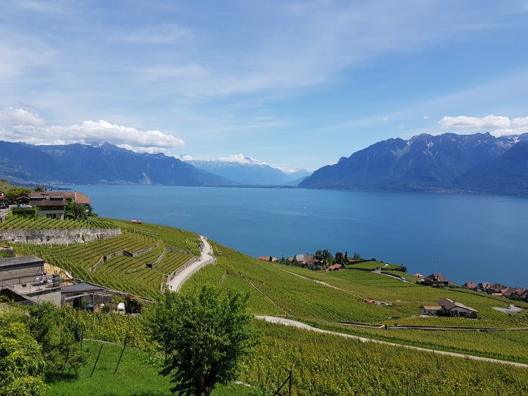 Vue sur le lac Léman, les pré-Alpes, l'entrée du Valais et les Alpes Suisses depuis Chebres