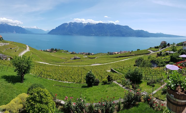 Vue panoramique sur le lac Léman, les pré-Alpes, l'entrée du Valais, les Alpes et le Lavaux depuis Chexbres