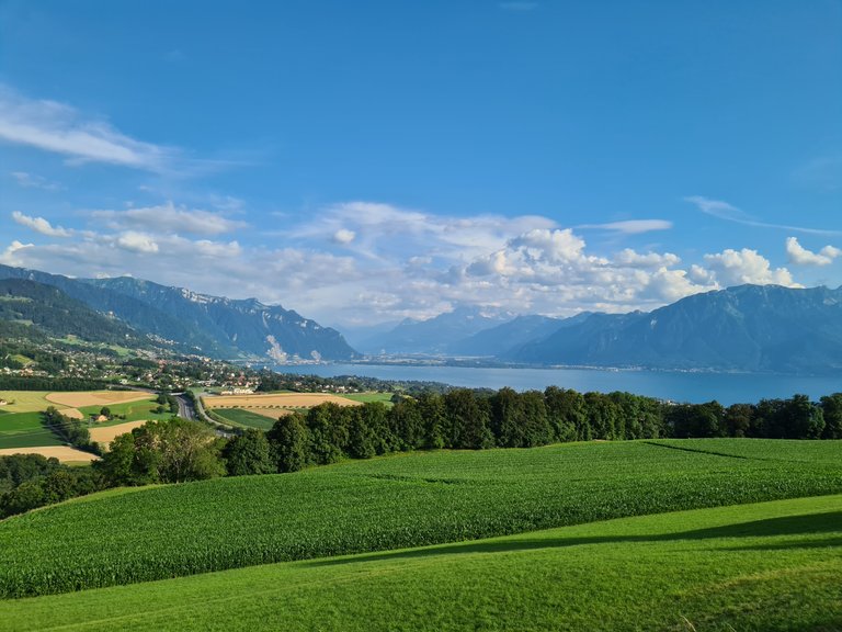 Vue sur la région de la Riviera, les pré-Alpes, l'entrée du Valais, le lac Léman et les Alpes Suisses depuis Jongny