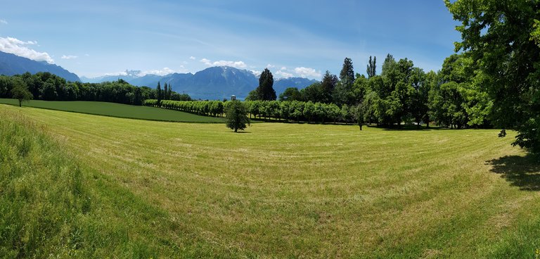 Vue panoramique sur les pré-Alpes, l'entrée du Valais et les Alpes depuis Vevey