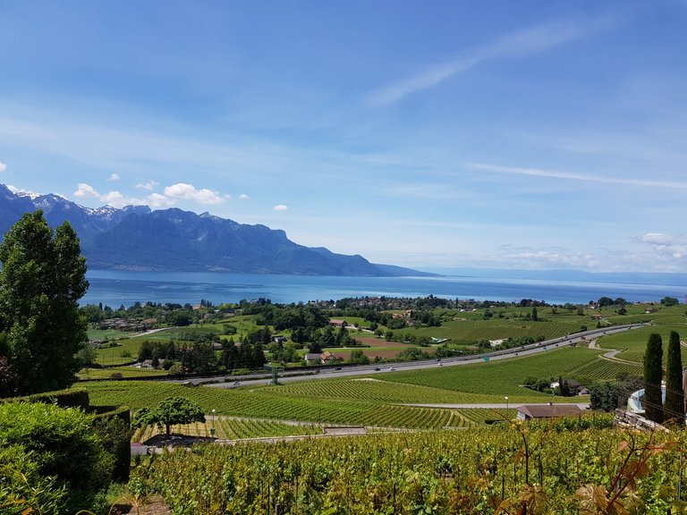 Vue sur le lac Léman, les Alpes Françaises, la ville de Clarens et La Tour-de-Peilz depuis Brent