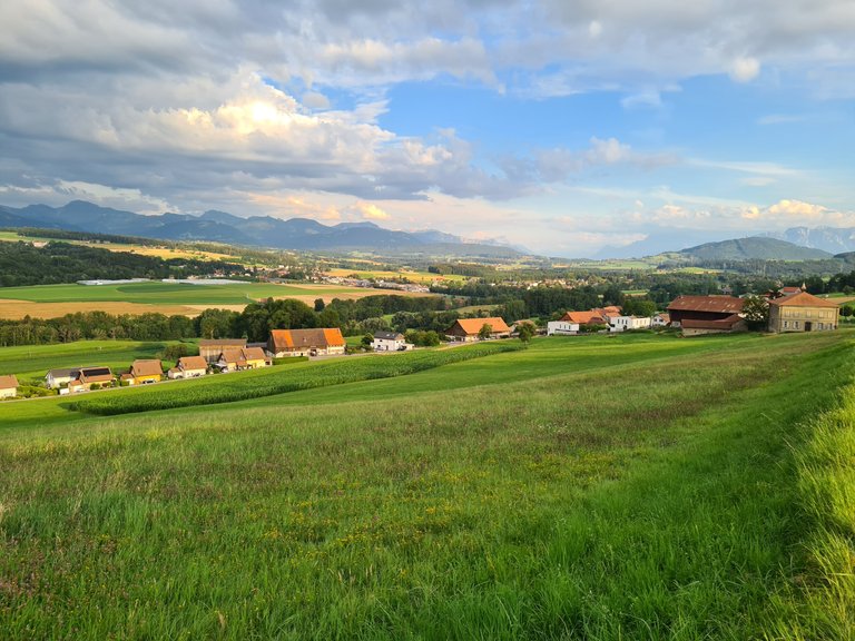 Vue sur la campagne d'Oron, les pré-Alpes et les Alpes depuis Ferlens