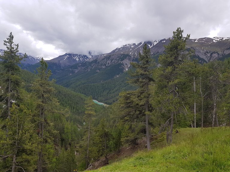 Vue sur le lac Lai da Ova Spin et les montagnes depuis la route longeant le Parc National Suisse