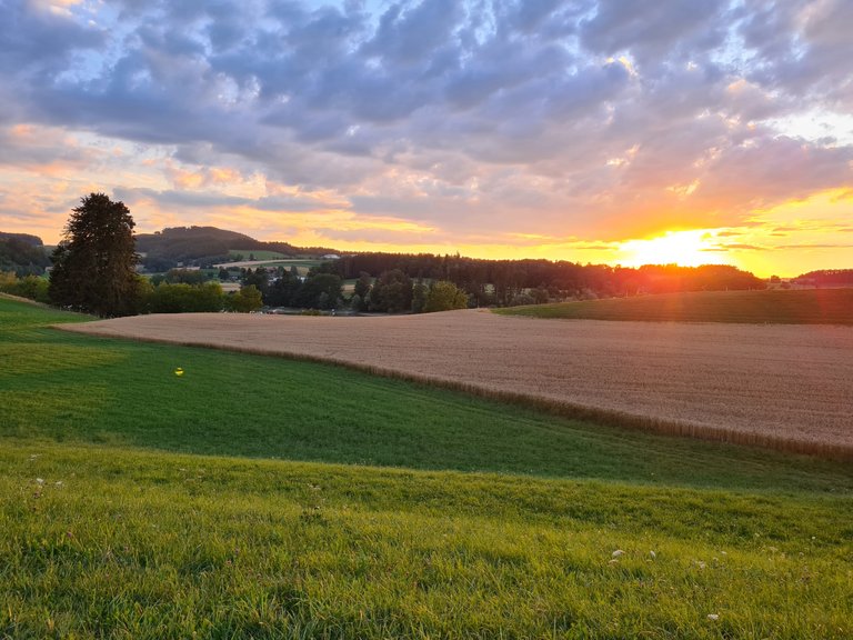 Vue sur la campagne de Grand Vaux, le lac de Bret et le coucher de soleil depuis le lac de Bret