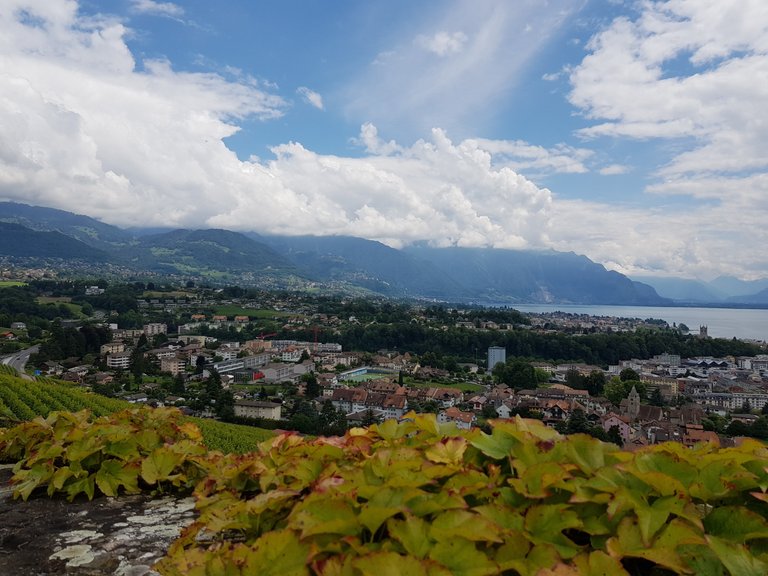 Vue sur la région de la Riviera, la ville de Vevey, les pré-Alpes, le lac Léman et l'entrée du Valais depuis Corsier-sur-Vevey