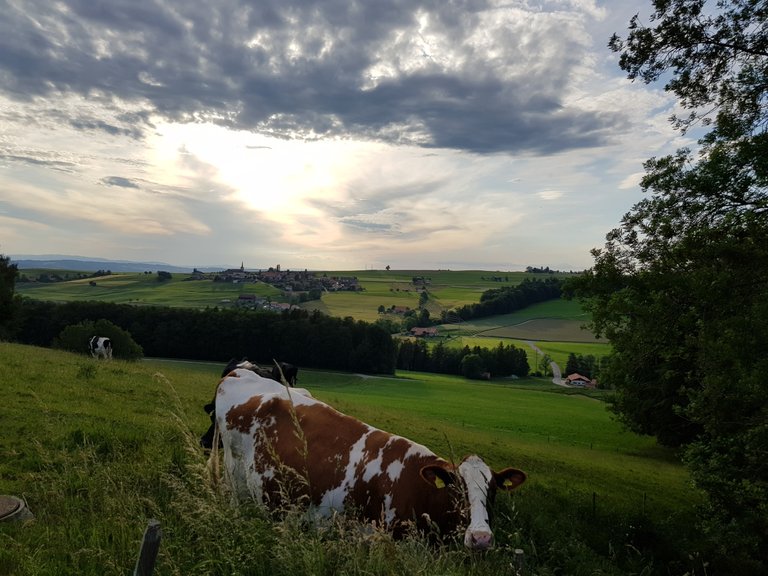 Vue sur la ville de Saint-Martin et sa campagne depuis Jordil