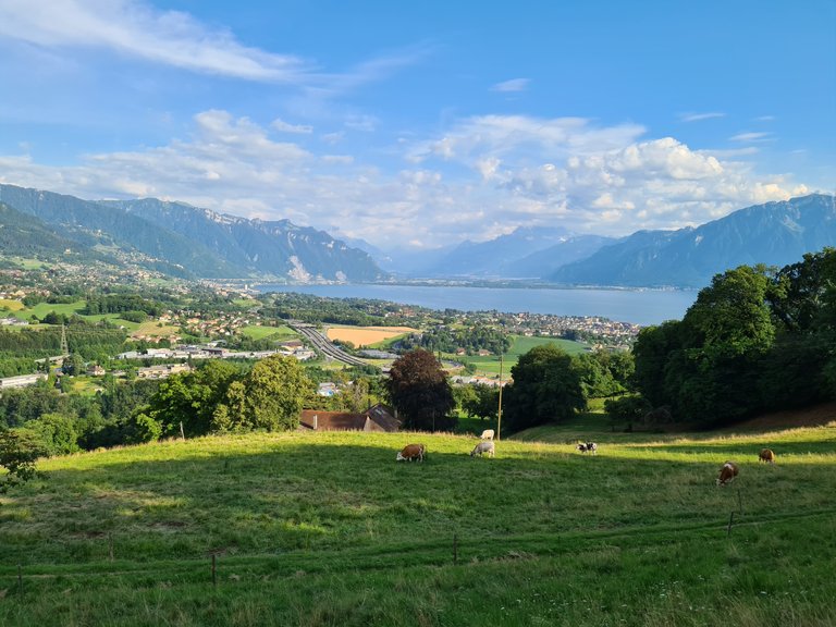 Vue sur la région de la Riviera, les pré-Alpes, le lac Léman, l'entrée du Valais et les Alpes Suisses depuis Jongny