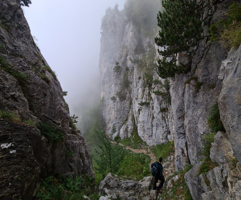 Vue sur les falaises dans la brume depuis le trou de l'Ours