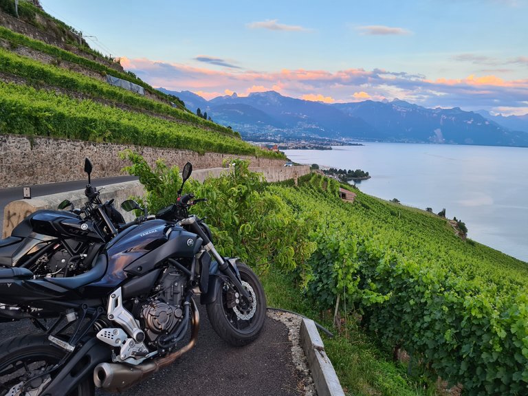 Vue sur les vignes en terrasse, les pré-Alpes, la ville de Vevey, le lac Léman et le coucher de soleil depuis Saint-Saphorin