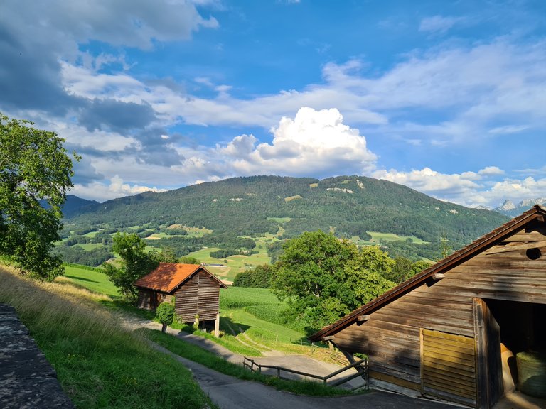 Vue sur la région de la Riviera et les pré-Alpes depuis Jongny