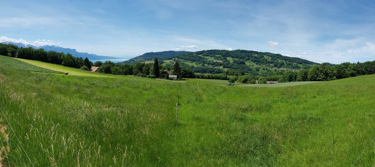 Vue panoramique sur les Alpes, le lac Léman et le Mont Pèlerin depuis Chevalleyres