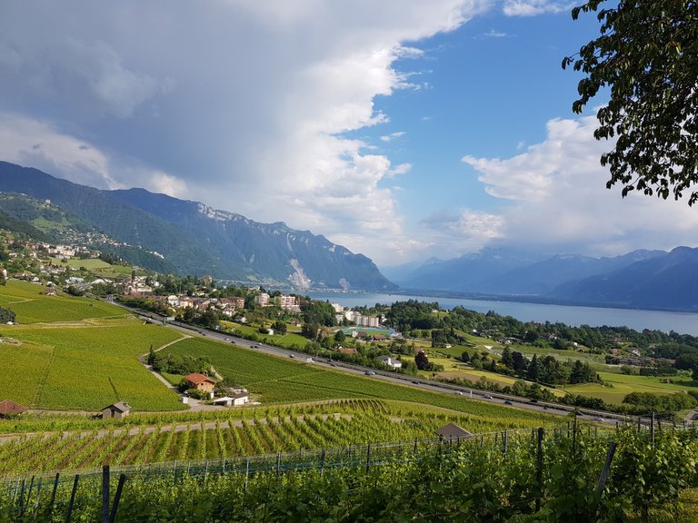 Vue sur la région de la Riviera, les pré-Alpes, l'entrée du Valais et les Alpes depuis Blonay