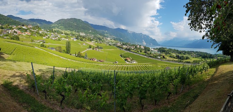 Vue panoramique sur la région de la Riviera, les pré-Alpes, l'entrée du Valais et les Alpes depuis Blonay