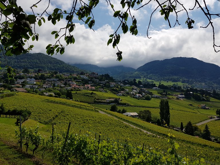 Vue sur les pré-Alpes et la région de la Riviera depuis Blonay