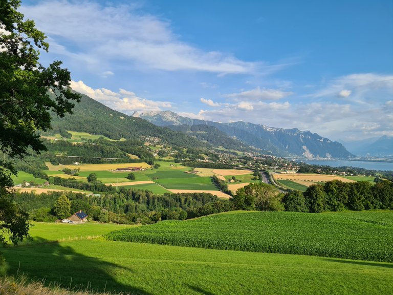 Vue sur la région de la Riviera, les pré-Alpes et l'entrée du Valais depuis Jongny