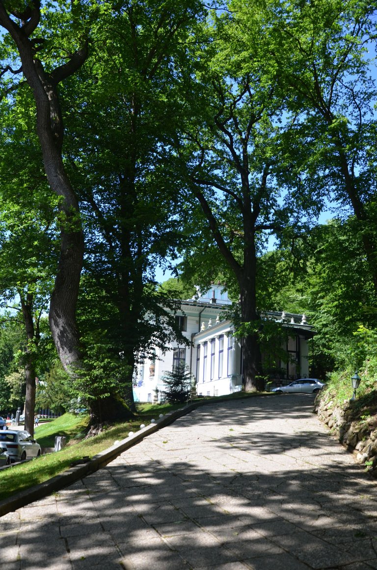 DSC_0881.jpg