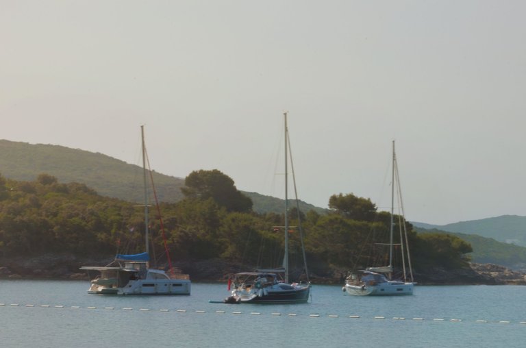 DSC_1084.jpg