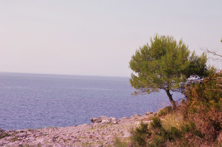 DSC_1102.jpg