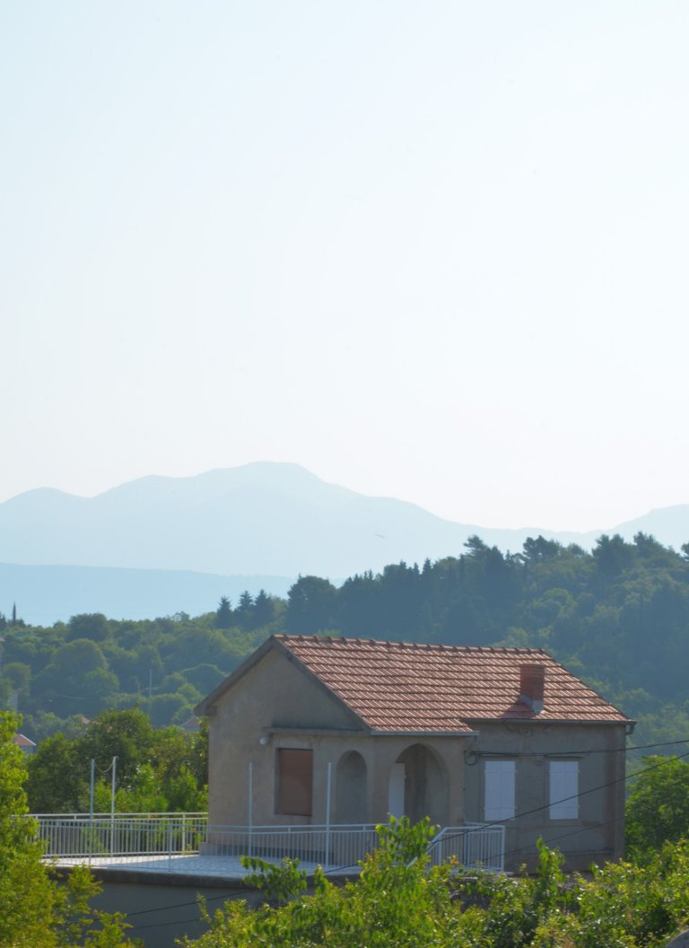 DSC_1067.jpg