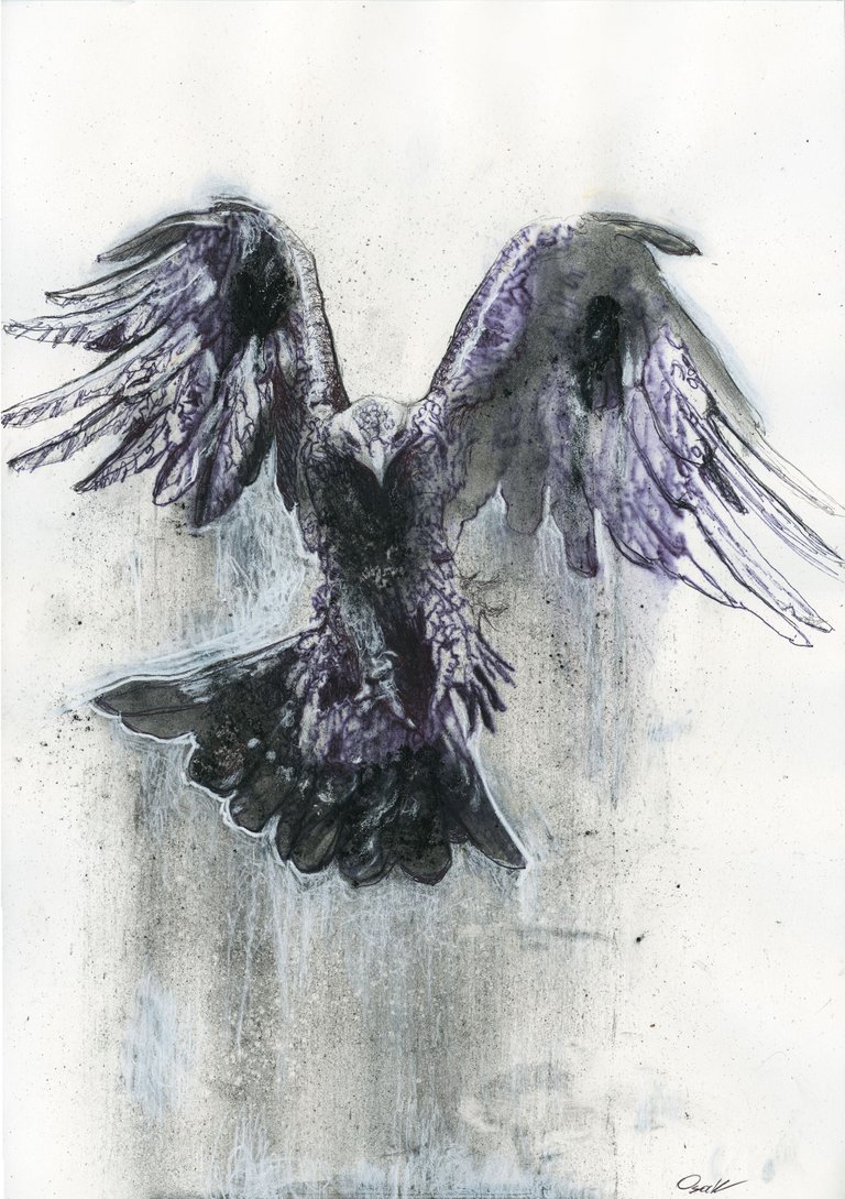 Hawk 30 x 42 cm,2022web.jpg