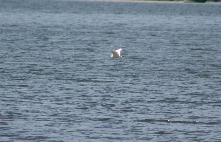 IMG_1901.JPG