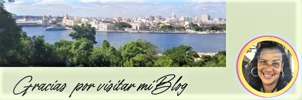 Gracias por visitar mi Blog(1).jpg