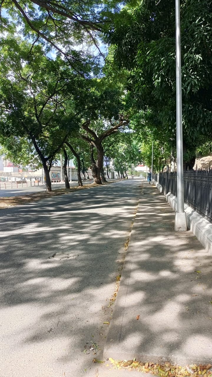 WhatsApp Image 2025-07-15 at 5.23.49 PM.jpeg