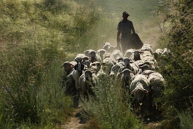 xinjiang-2944575_640.jpg