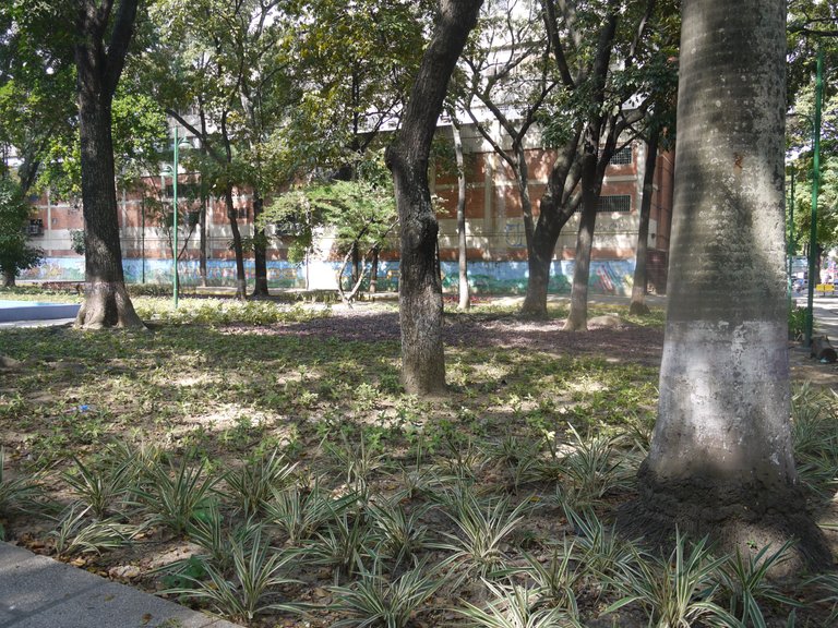 P1060483.JPG