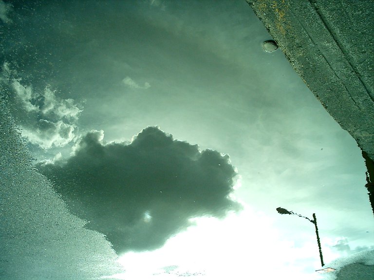 IMAG0124.JPG