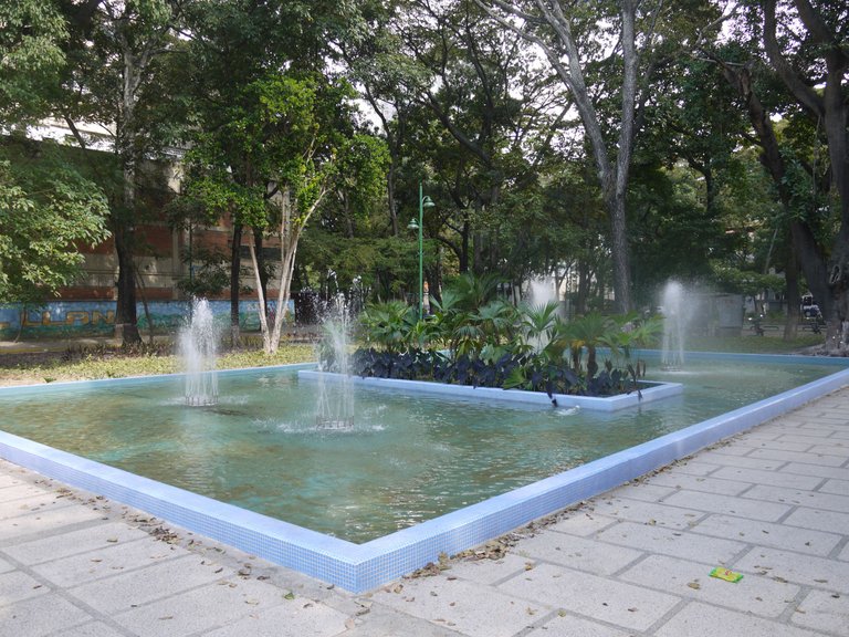 P1060477.JPG