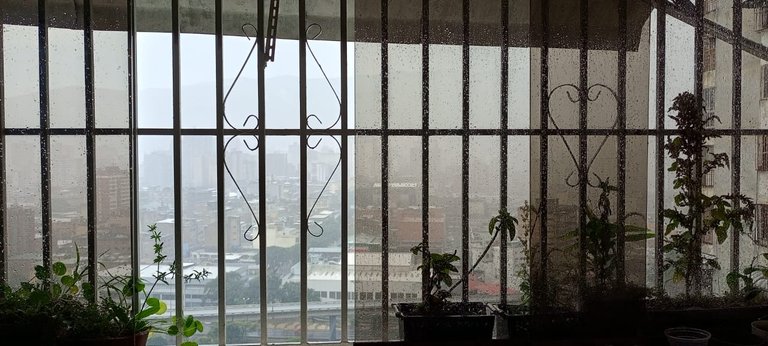 WhatsApp Image 2025-10-04 at 1.52.27 PM (4).jpeg