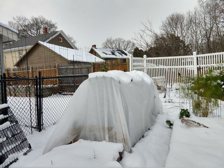 hoop house december.jpg