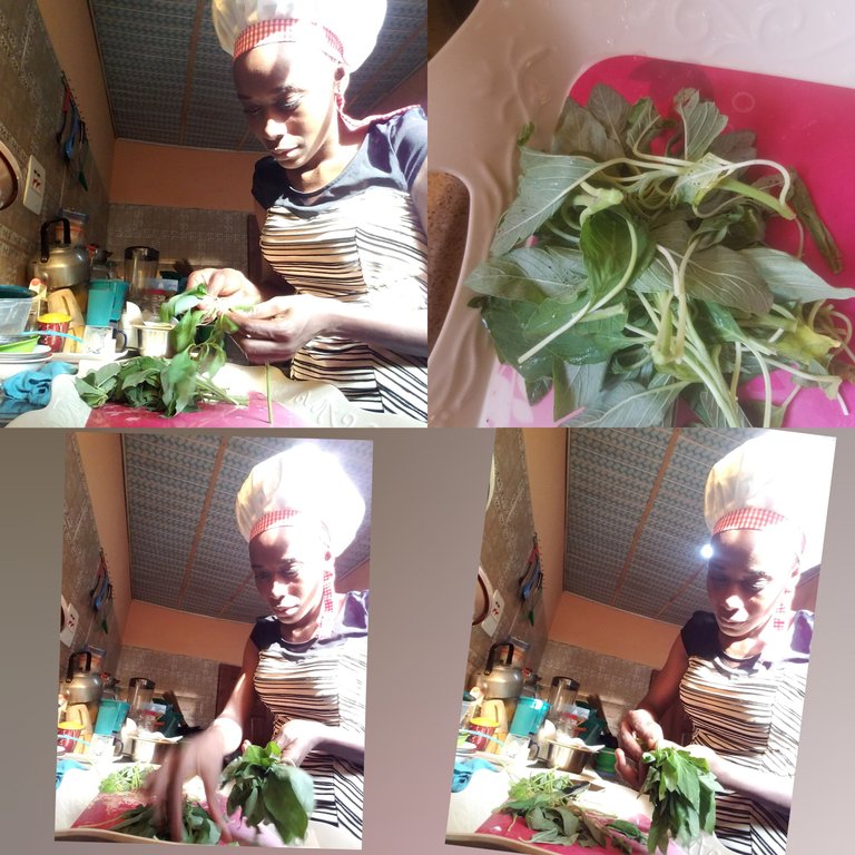 FotoGrid_20250407_173732532.jpg