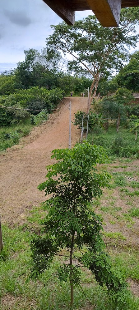 view from the intermediate floor of the treehouse