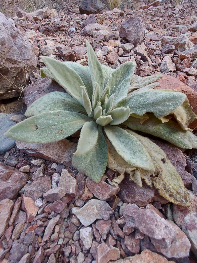 20230725_142820.jpg