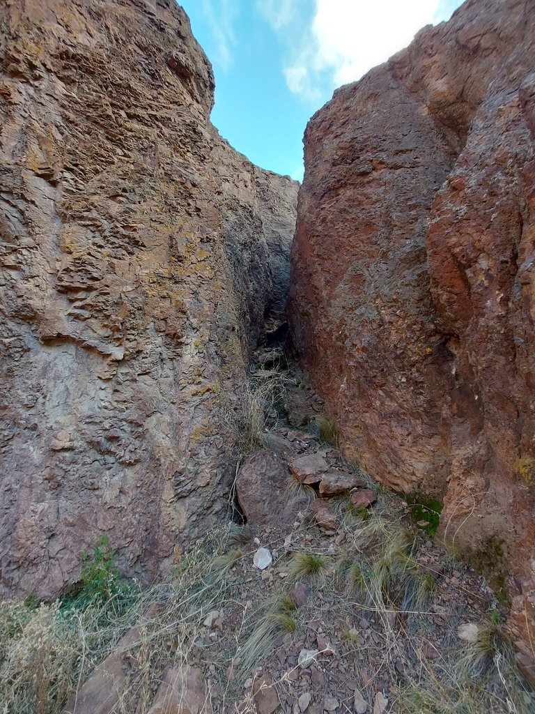 20230725_143800.jpg