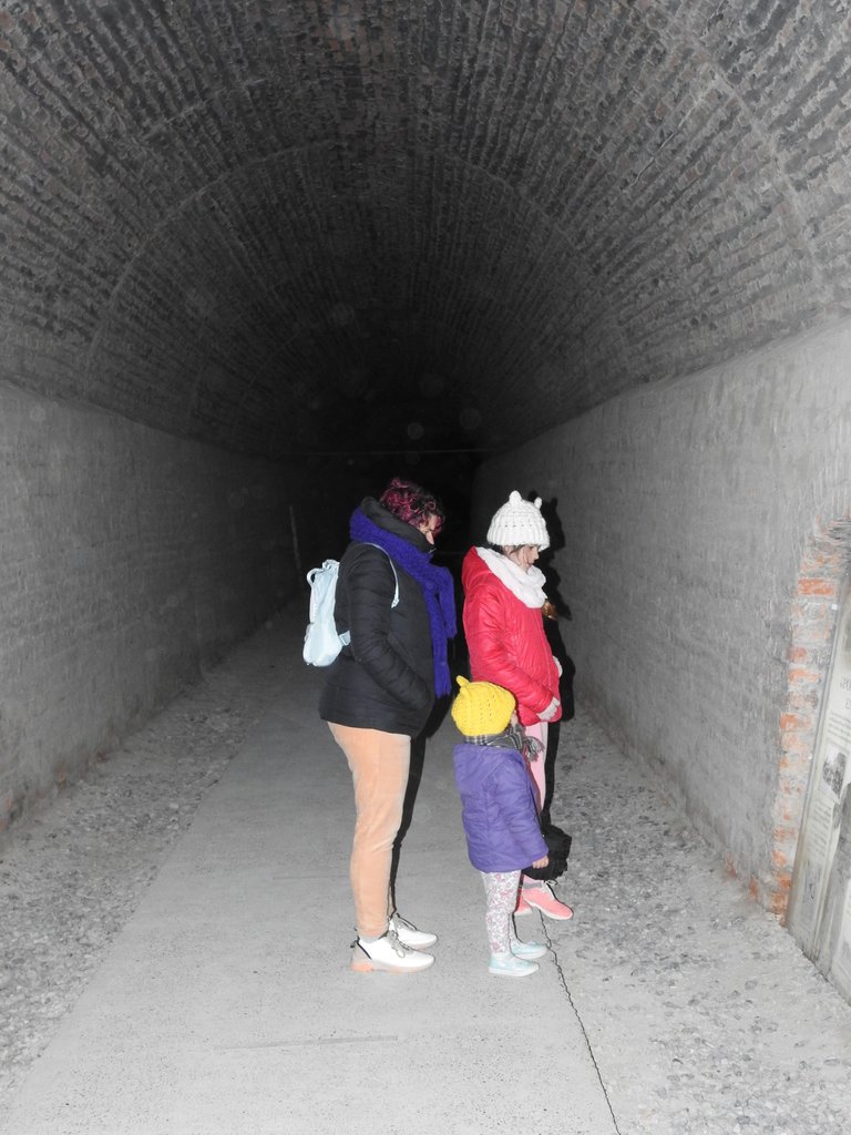 DSCN5951.JPG