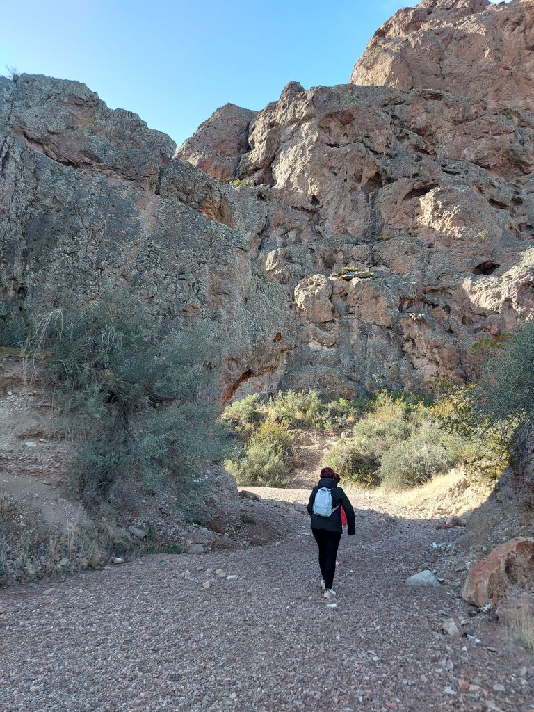 20230725_141135.jpg