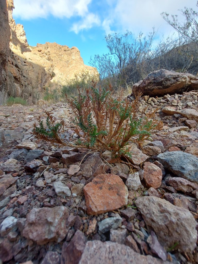 20230725_142826.jpg