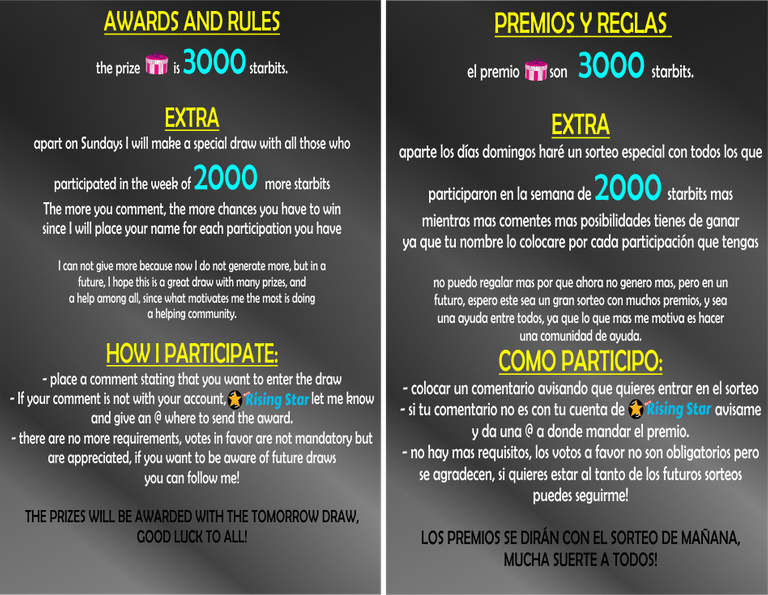 reglas doble idioma princ junio.png