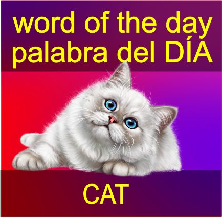 palabra 11.png