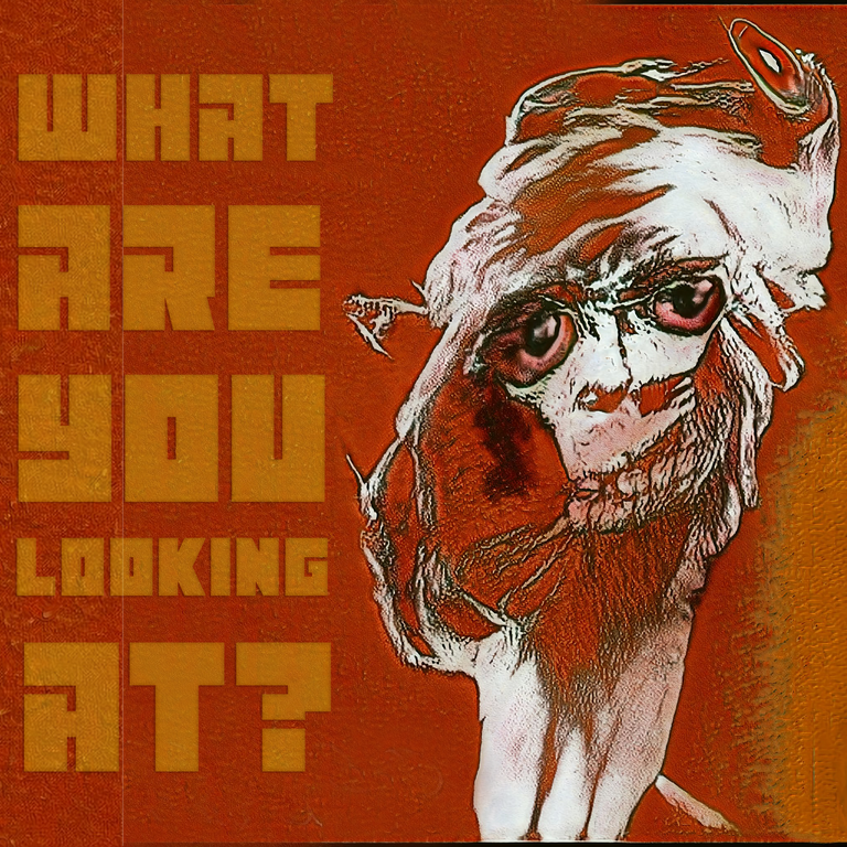 Whatareyoulookingatv3.png