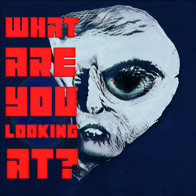 Whatareyoulookingatv13.png