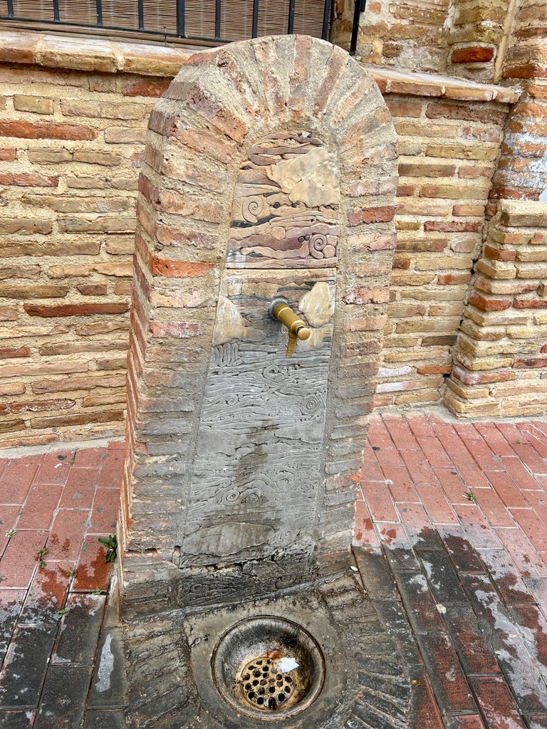 IMG_9252.JPG