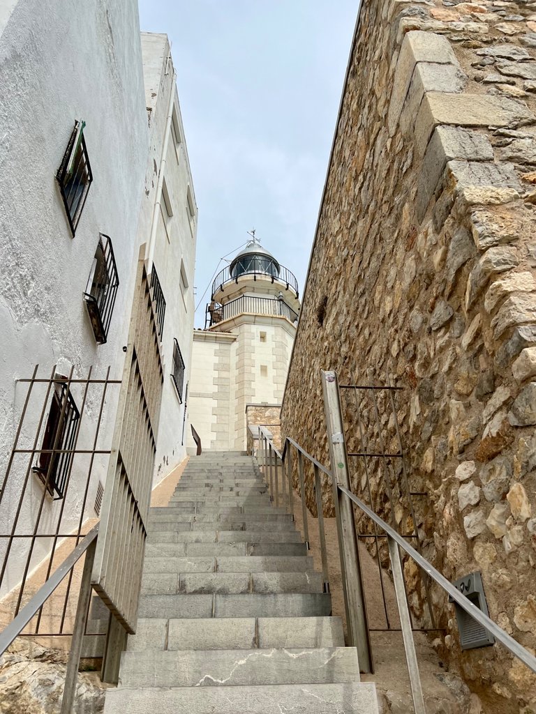 IMG_5876.jpeg