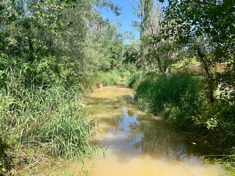 Senda Fluvial del río Huerva en Muel // Fluvial Path of the Huerva River in Muel